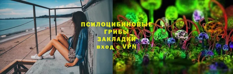 Галлюциногенные грибы MAGIC MUSHROOMS  купить  цена  Биробиджан 